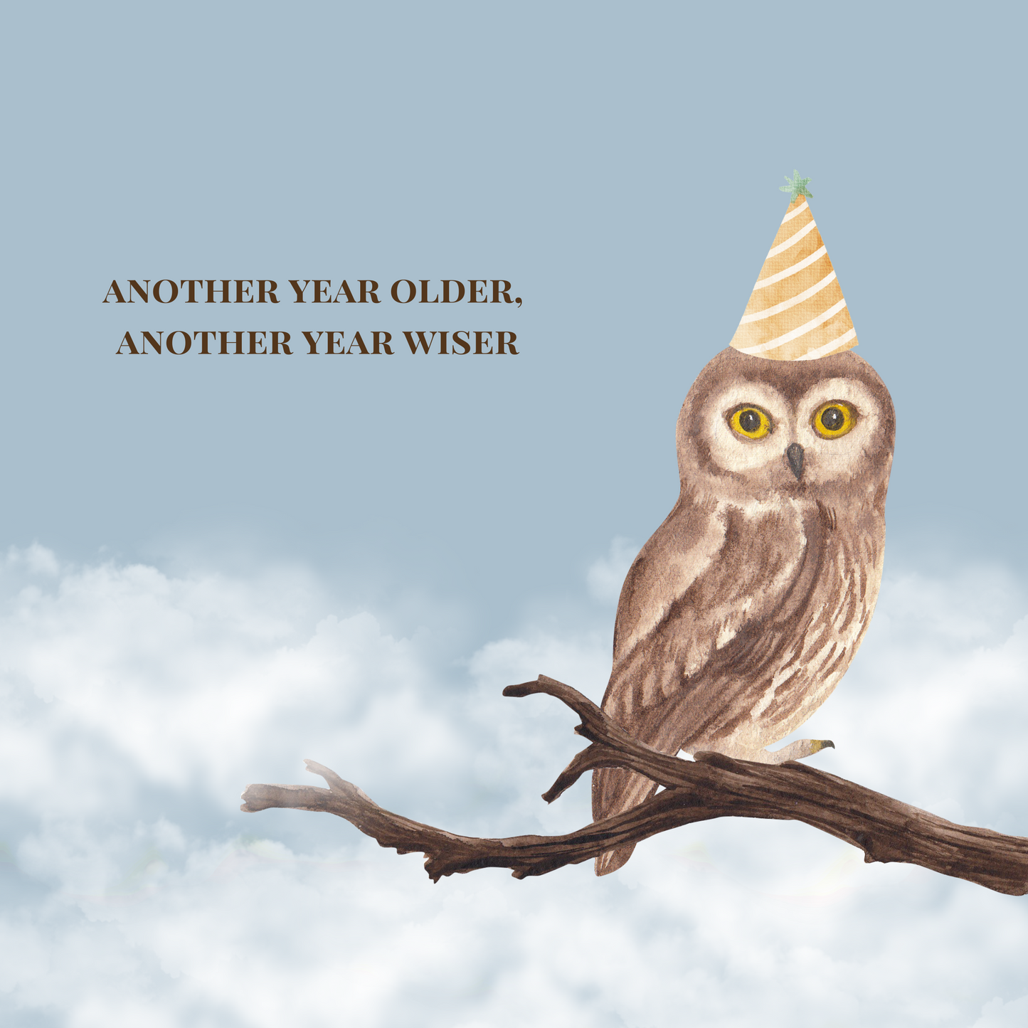 Another Year Older, Another Year Wiser - Birthday Card