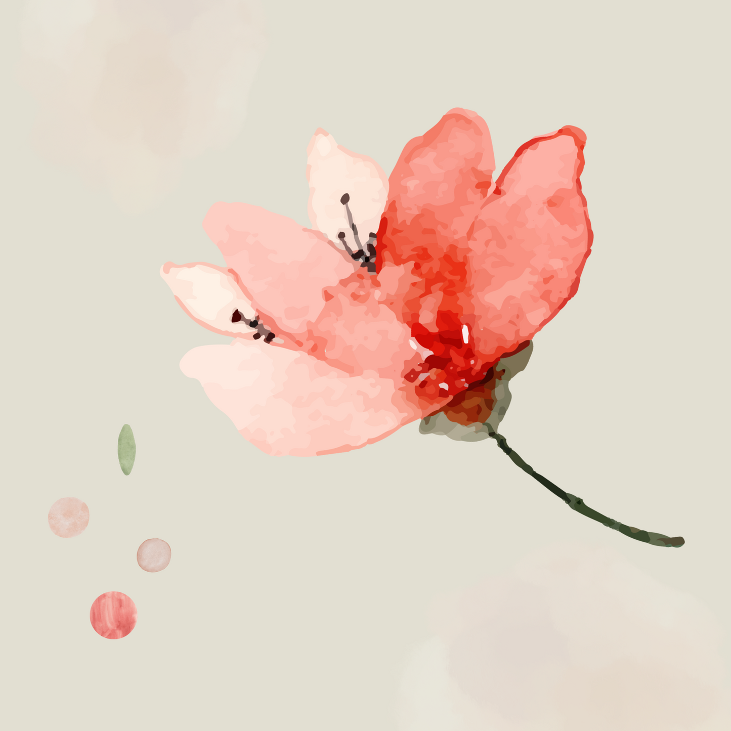 Blank Floral Card - Peony | Blank Greeting Card