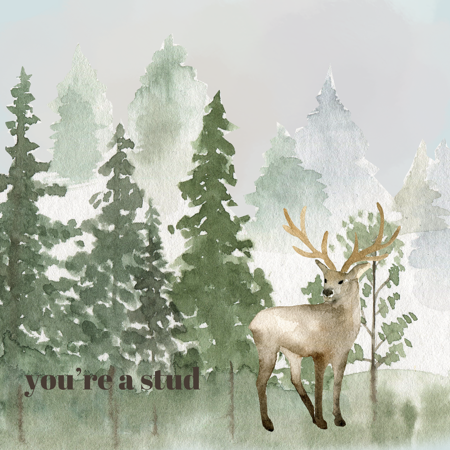 You're A Stud | Greeting Cards