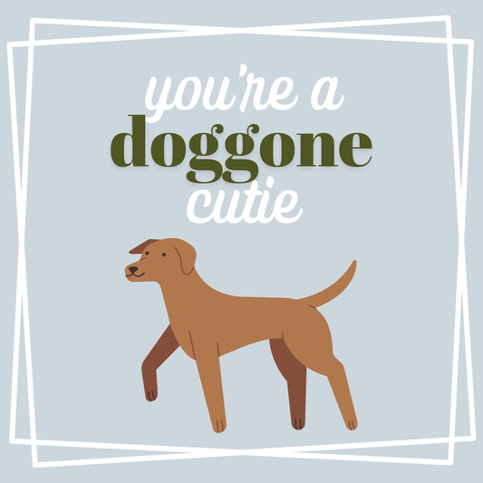 You're a Doggone Cutie - Greeting Card