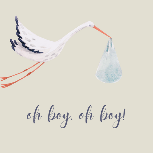 Oh Boy, Oh Boy | Baby Boy Baby Shower Card