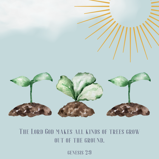 Genesis 2:9 | Christian Greeting Card